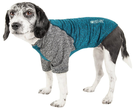 Dog wearing a gray and teal sweater on a white background