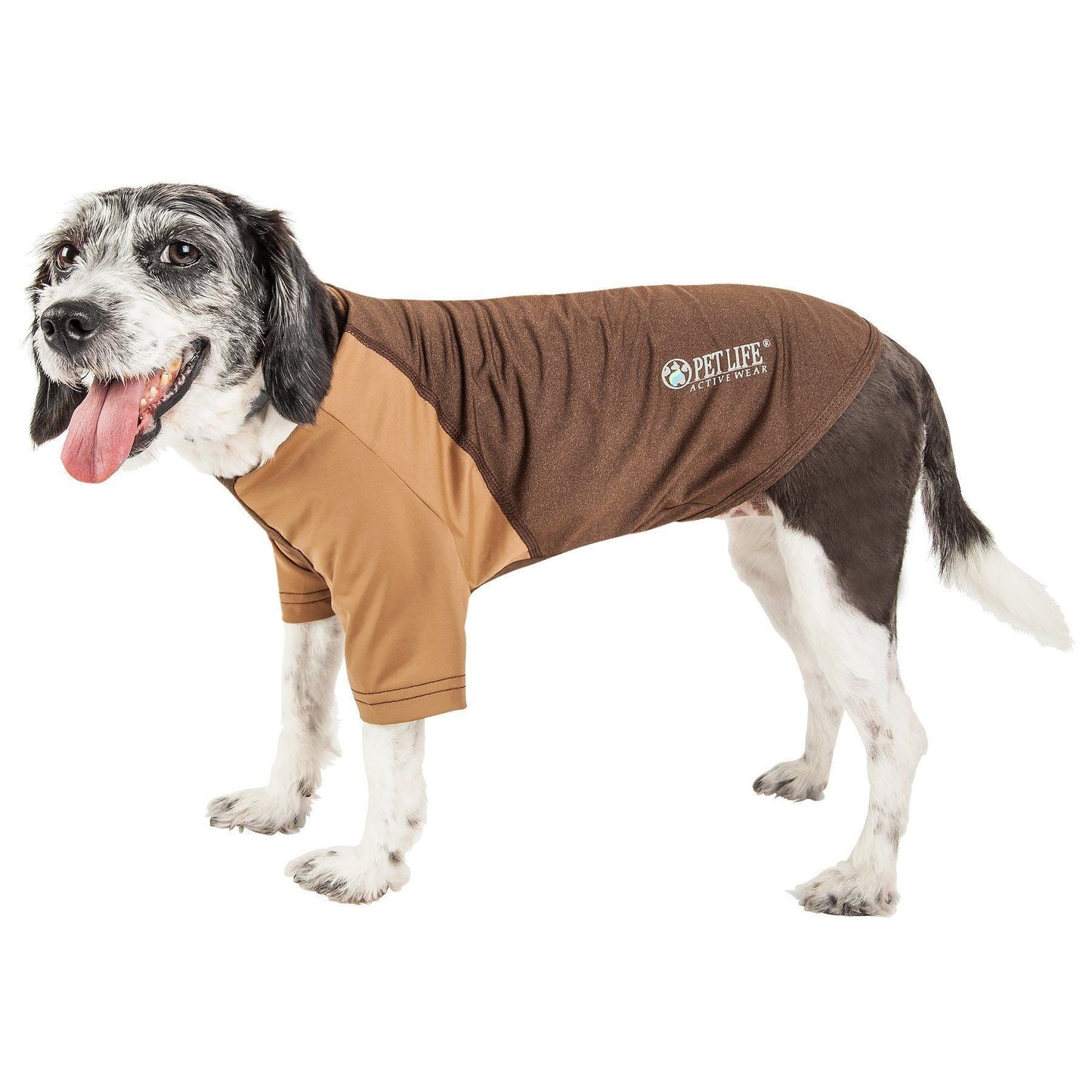 Dog wearing a brown and beige PetLife shirt on a white background