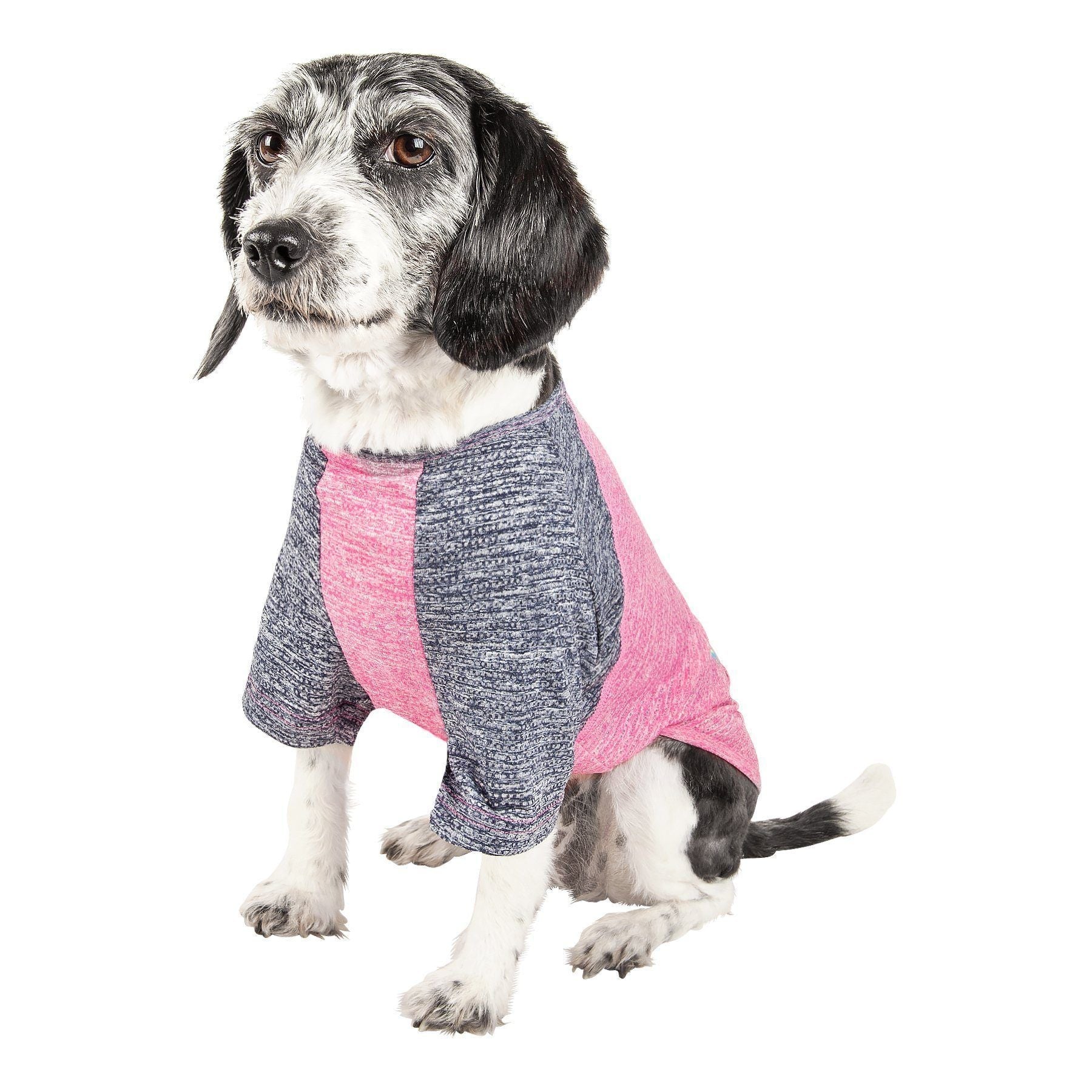 Dog wearing a gray and pink outfit on a white background