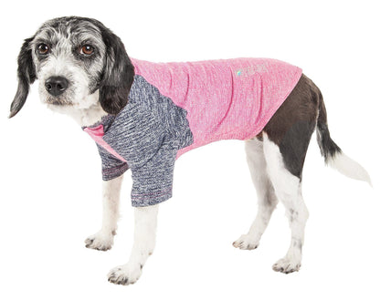 Dog wearing a pink and gray sweater on a white background