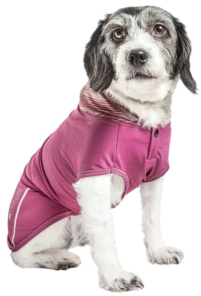 Dog wearing a pink outfit on a white background