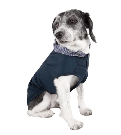 Dog wearing a navy blue coat with a white background