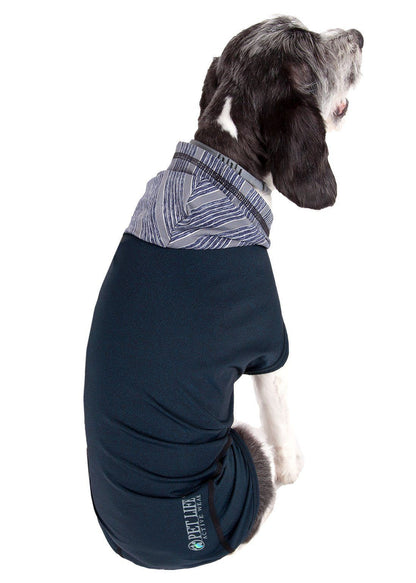 Dog wearing a navy blue coat with a patterned collar on a white background