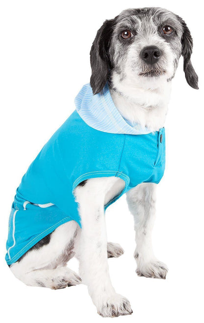 Dog wearing a blue coat on a white background