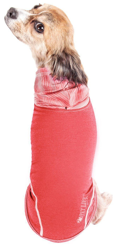 Dog wearing a red sweater on a white background