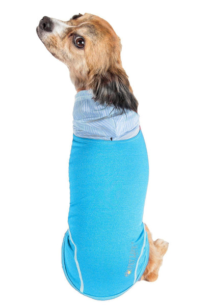 Dog wearing a blue and light blue striped sweater on a white background