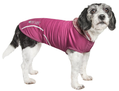 Dog wearing a pink jacket on a white background