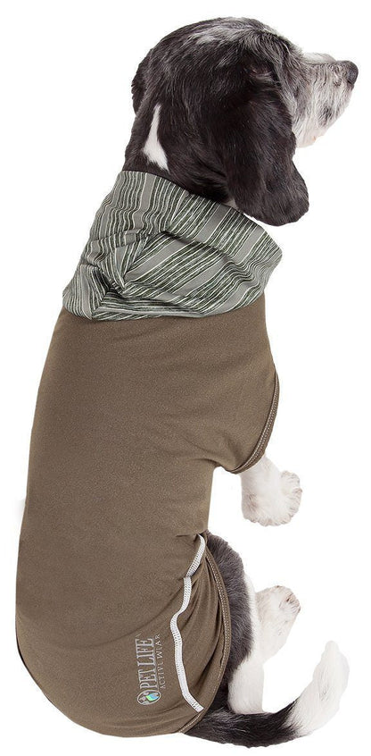 Dog wearing a brown coat with a hood on a white background