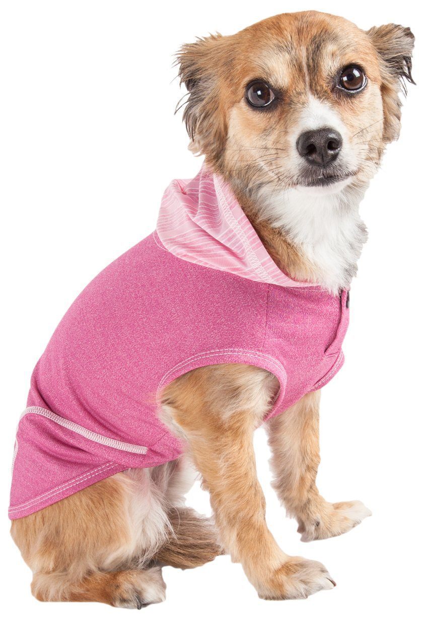 Small dog wearing a pink hoodie on a white background