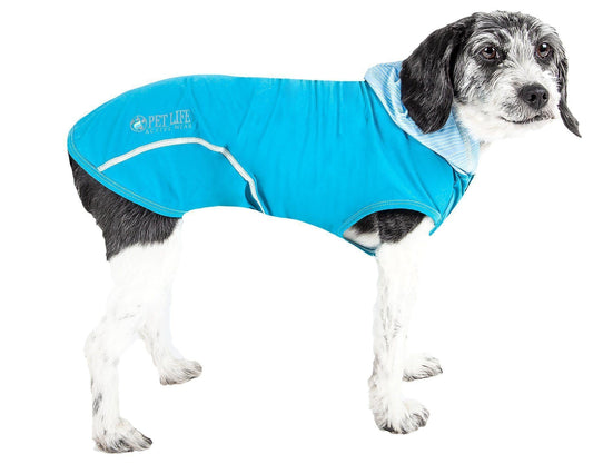 Dog wearing a blue jacket with a visible brand logo on a white background