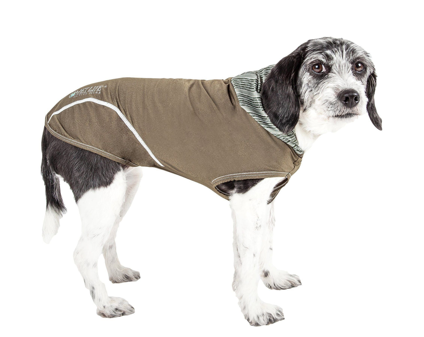 Dog wearing a brown jacket with a hood on a white background