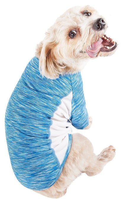 Dog wearing a blue and white striped onesie on a white background