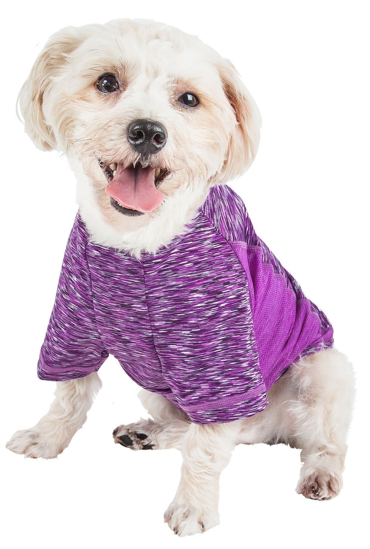 Dog wearing a purple shirt on a white background