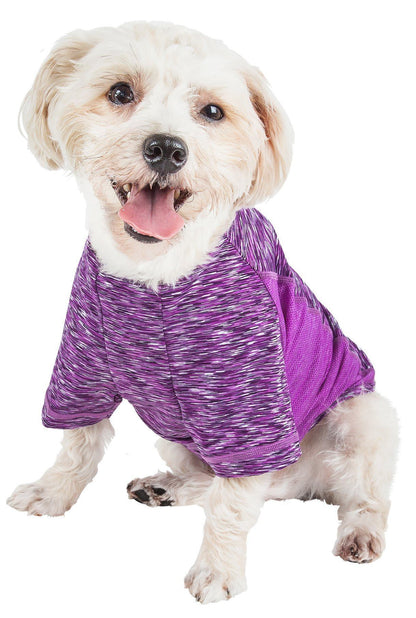 Dog wearing a purple shirt on a white background