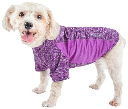 Small dog wearing a purple and white patterned shirt on a white background