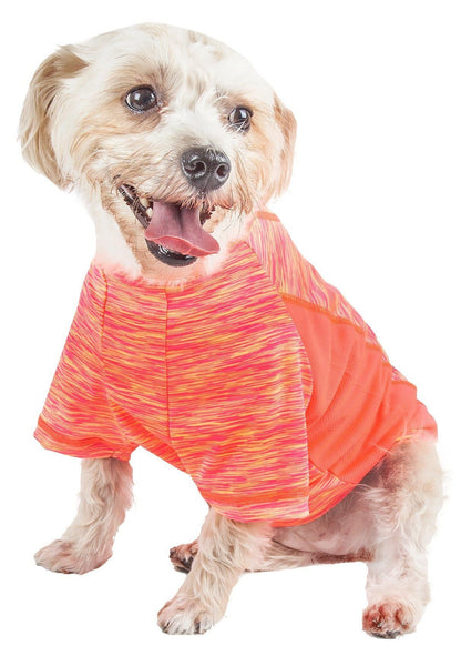 Dog wearing a bright orange and pink patterned shirt on a white background