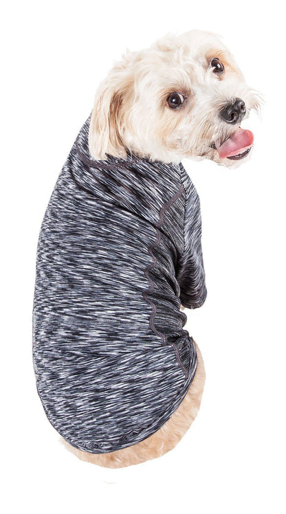 Dog wearing a gray and black patterned sweater on a white background