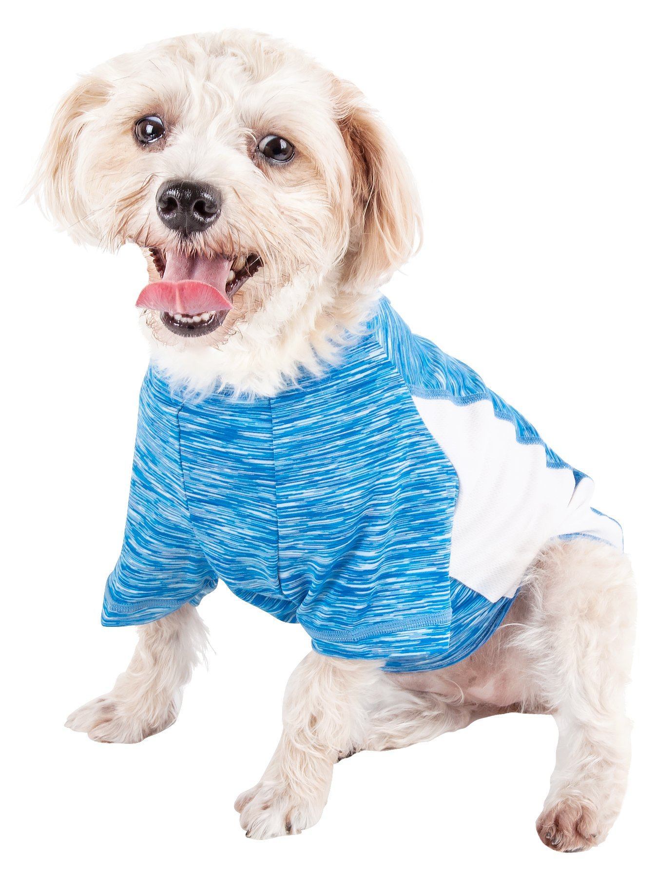 Dog wearing a blue and white striped shirt on a white background