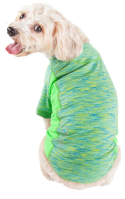 Dog wearing a green and blue striped shirt on a white background