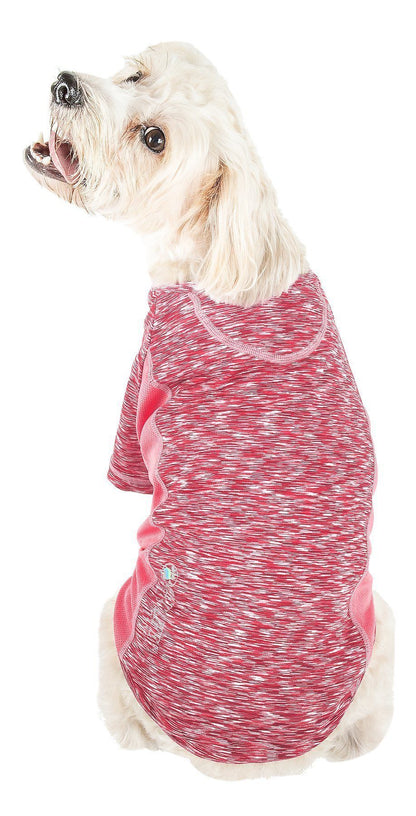 Dog wearing a red and white patterned sweater on a white background