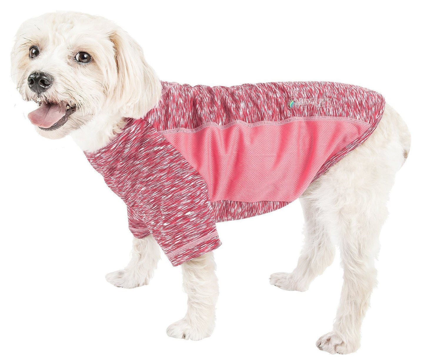 Dog wearing a pink and gray patterned dog coat on a white background