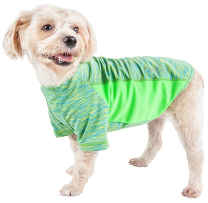Dog wearing a green and blue striped shirt on a white background