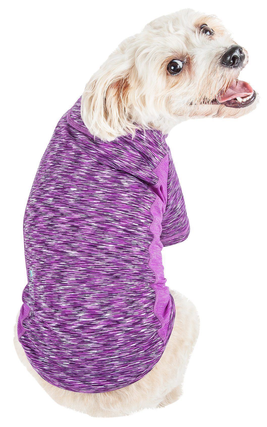 Dog wearing a purple and white patterned shirt on a white background