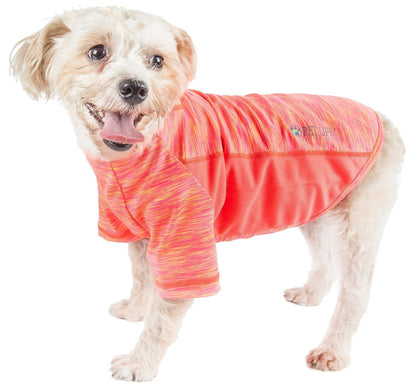 Dog wearing a bright pink and orange striped dog coat on a white background