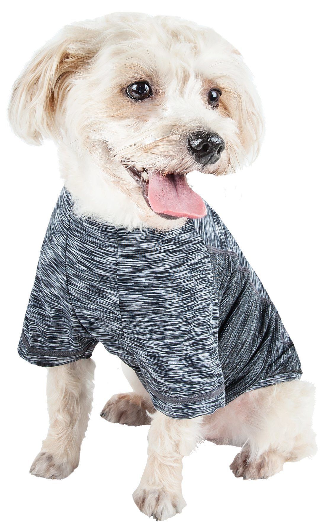 Dog wearing a gray and white patterned shirt on a white background