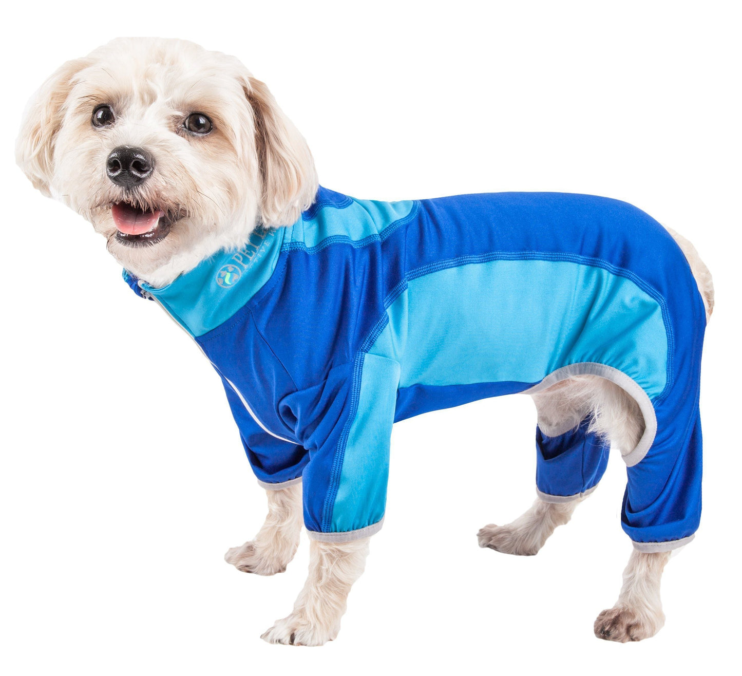 Dog wearing a blue and light blue outfit on a white background