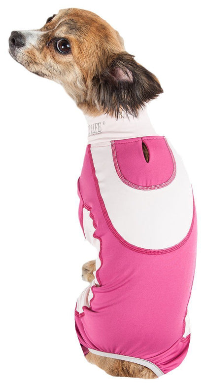 Small dog wearing a pink and white outfit on a white background
