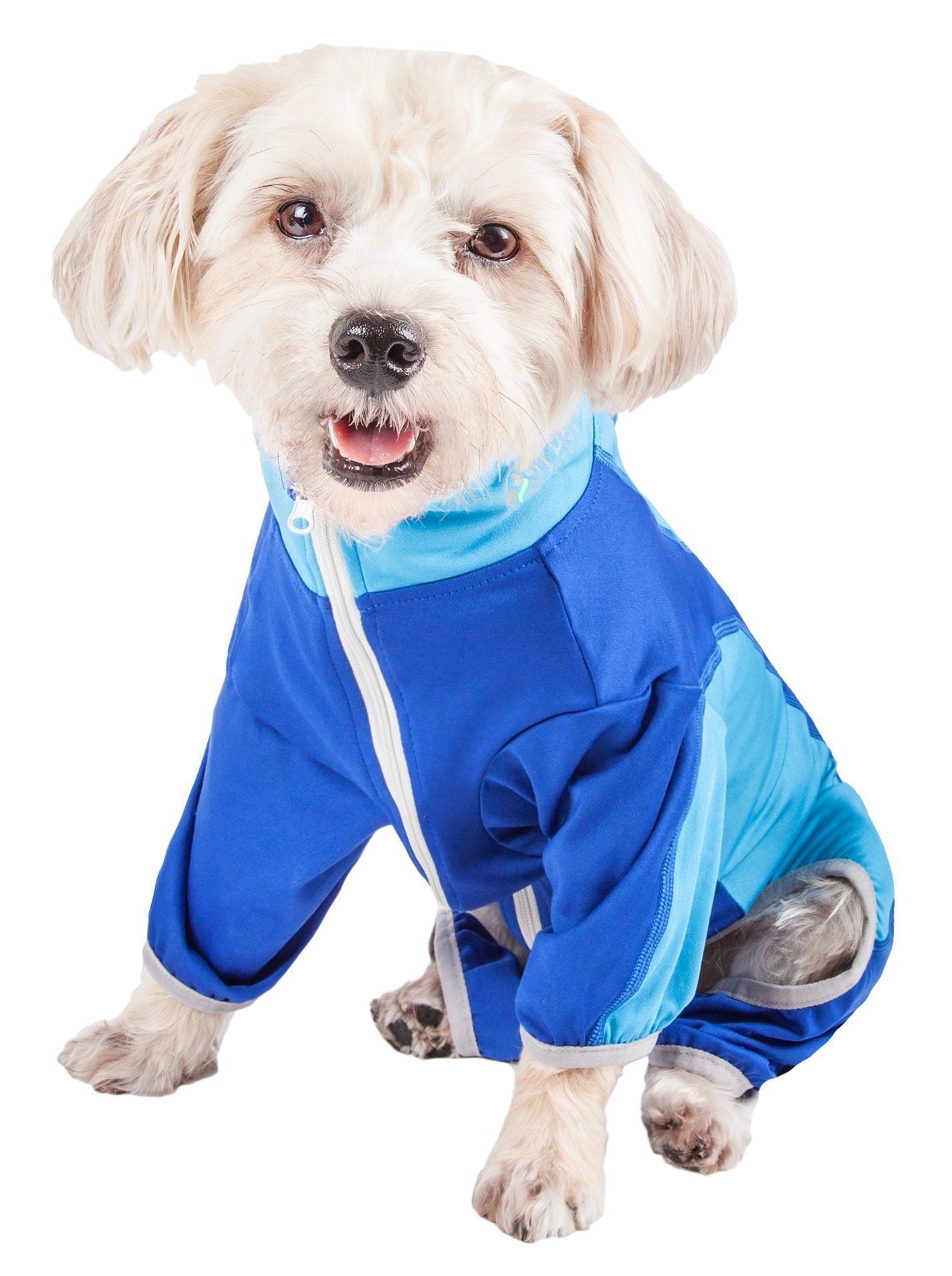 Dog wearing a blue raincoat on a white background