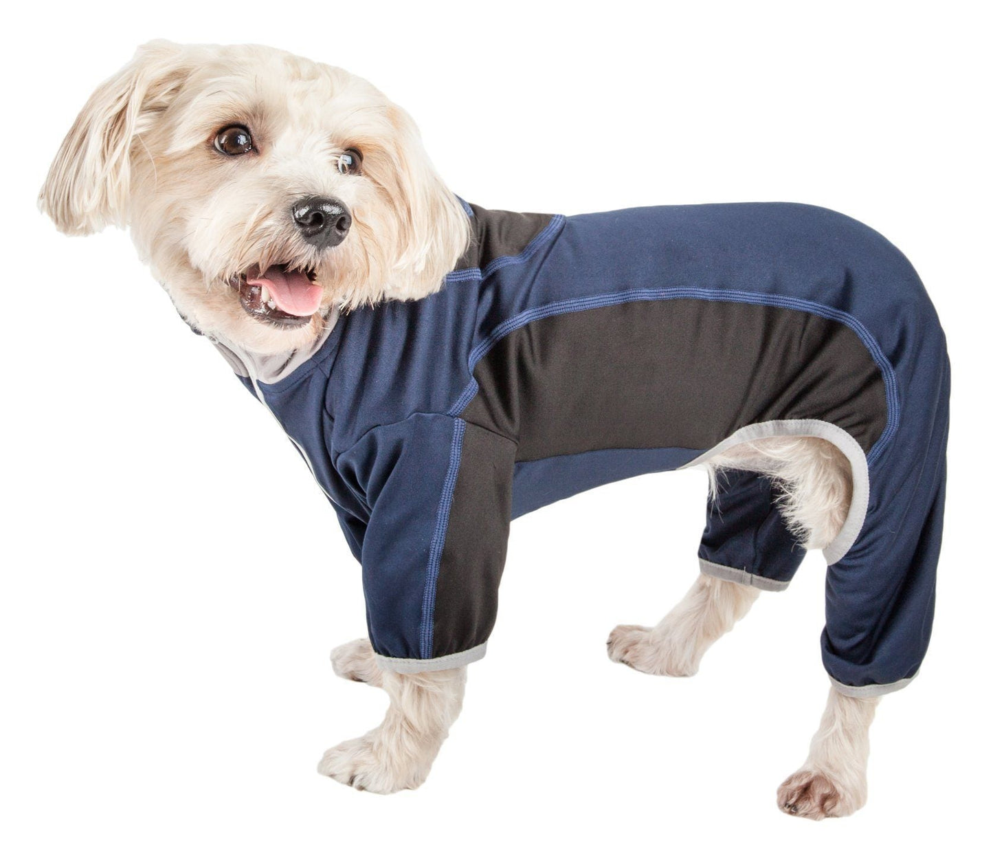 Dog wearing a blue and gray onesie on a white background
