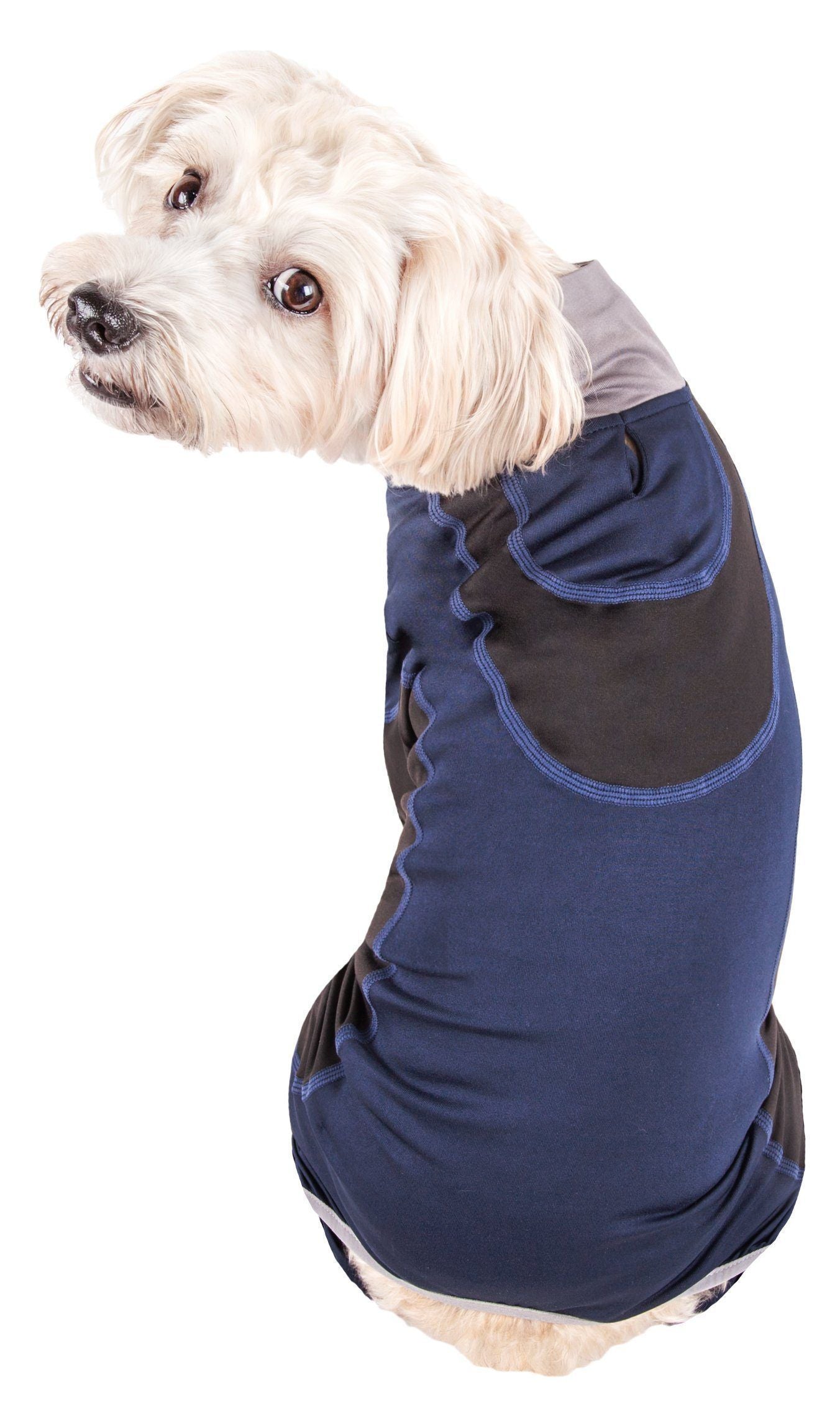 Dog wearing a blue and black jacket on a white background