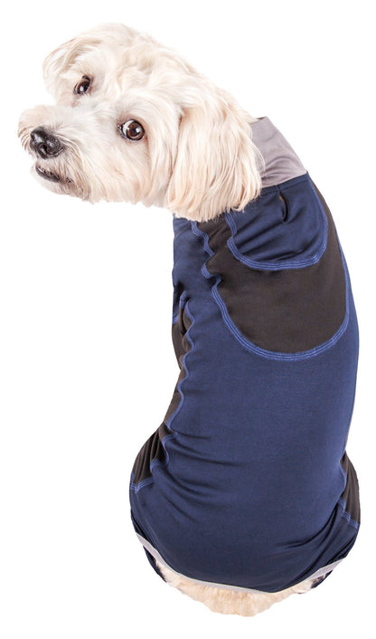 Dog wearing a blue and black jacket on a white background