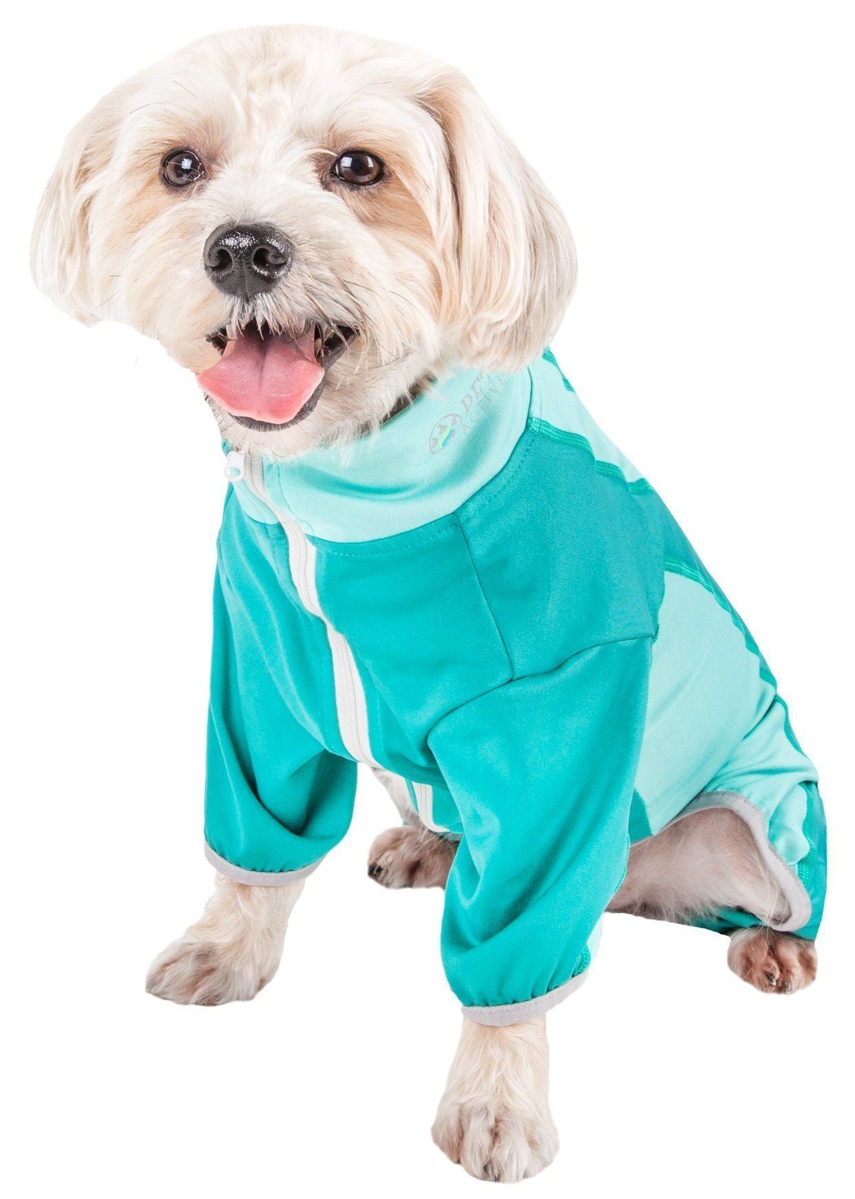 Dog wearing a turquoise raincoat on a white background