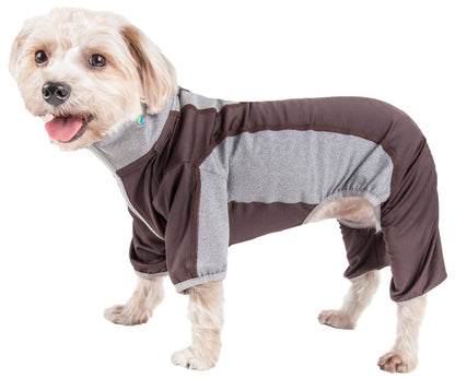 Dog wearing a brown and gray outfit on a white background