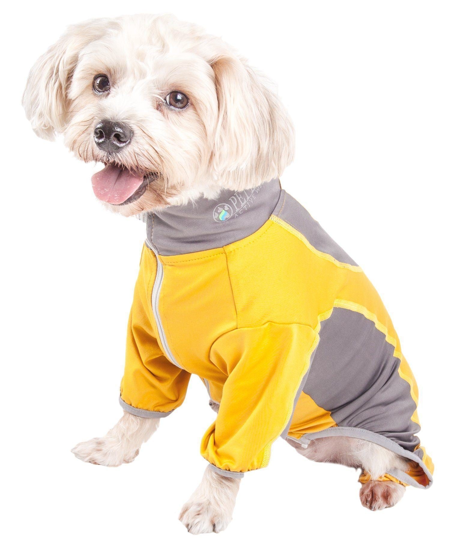 Dog wearing a yellow and gray outfit on a white background