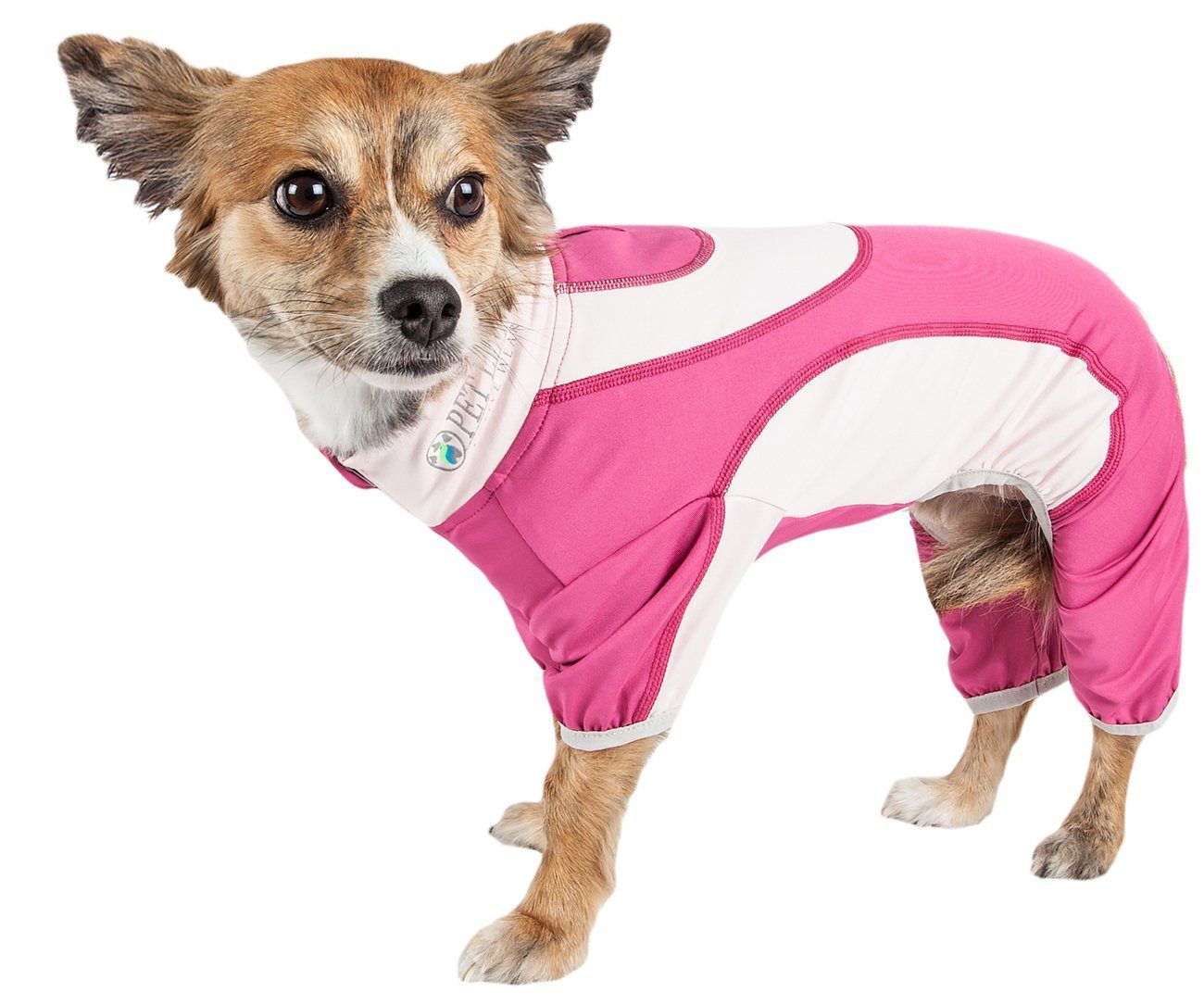 Dog wearing a pink and white outfit on a white background