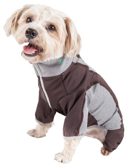 Dog wearing a brown and gray outfit on a white background