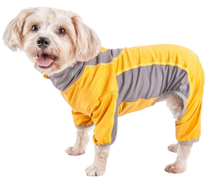 Dog wearing a yellow and gray outfit on a white background