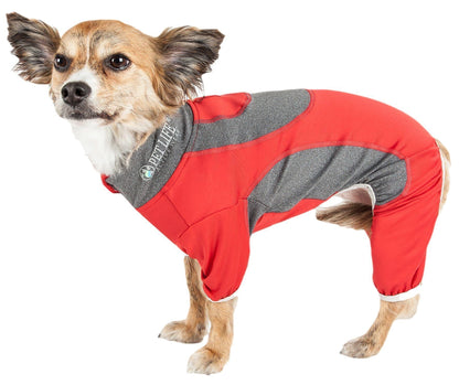 Dog wearing a red and gray outfit on a white background
