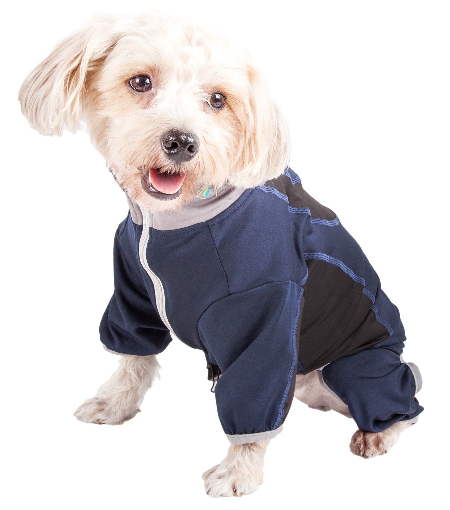 Dog wearing a blue raincoat on a white background