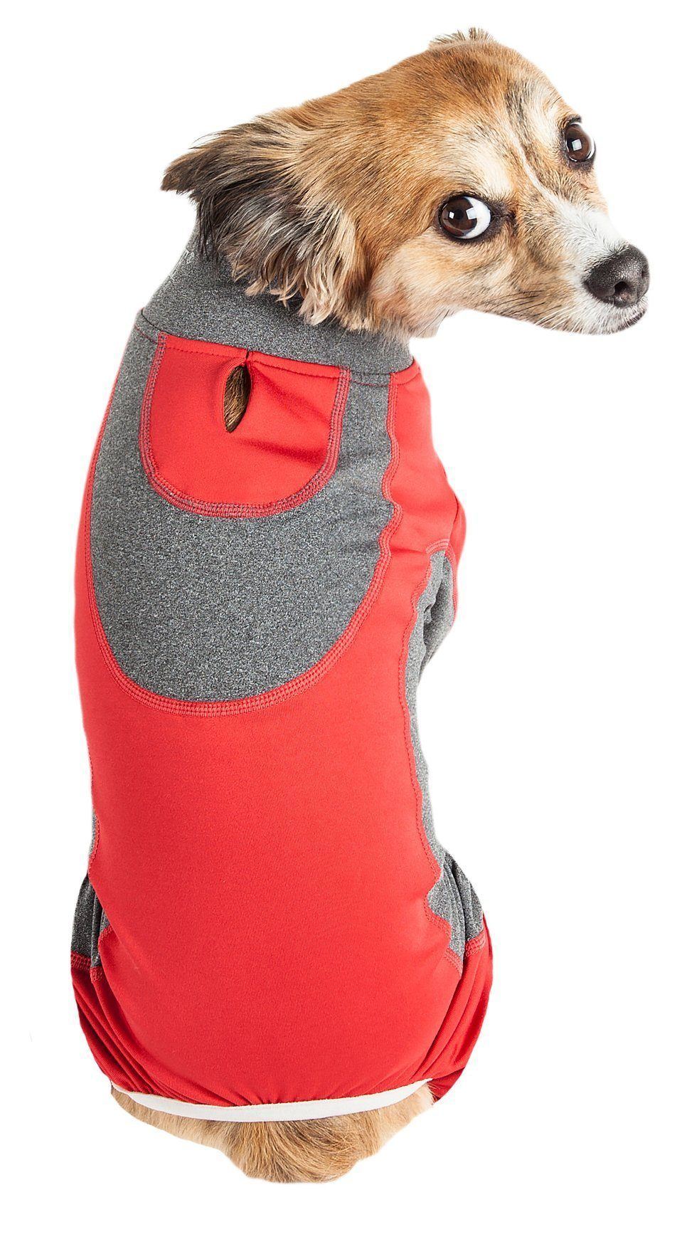 Dog wearing a red and gray jacket on a white background