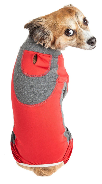 Dog wearing a red and gray jacket on a white background