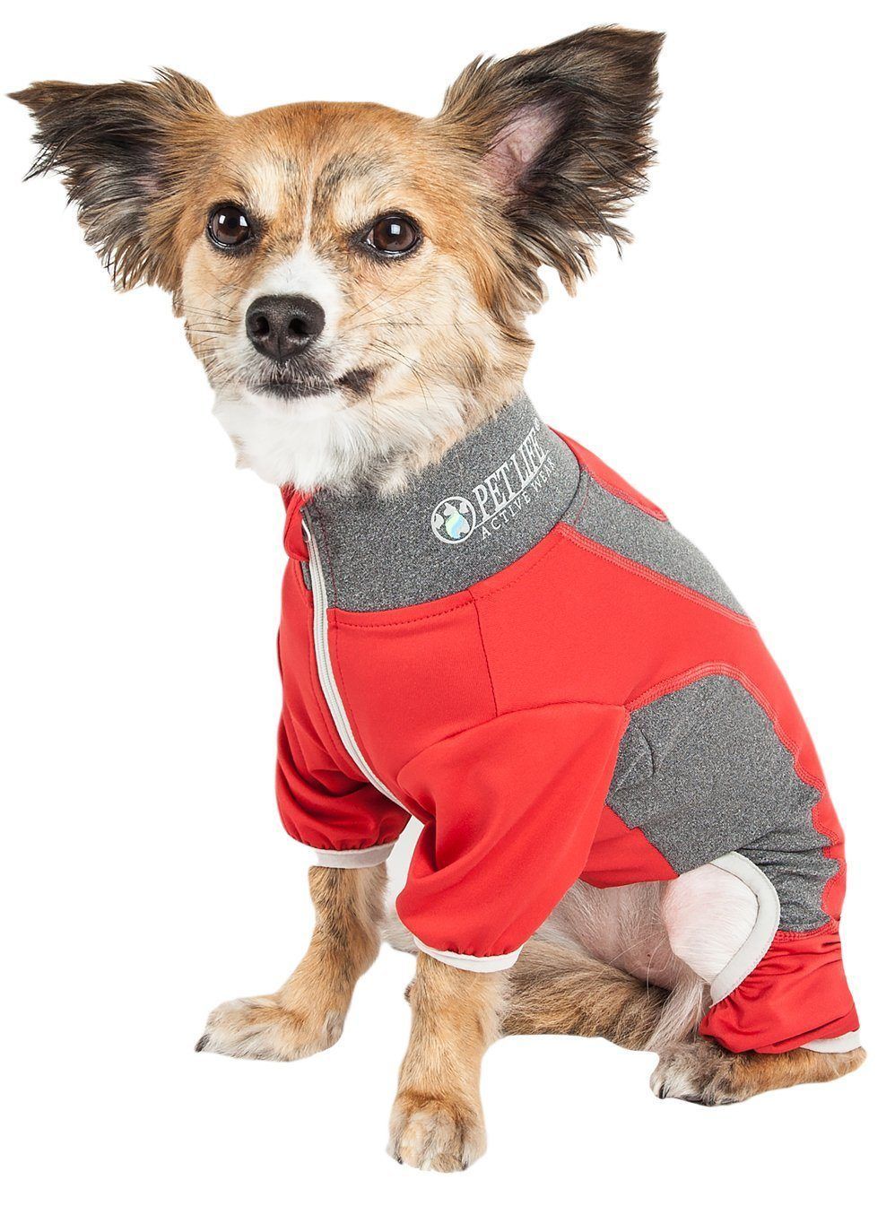 Small dog wearing a red and gray outfit with a brand logo on a white background