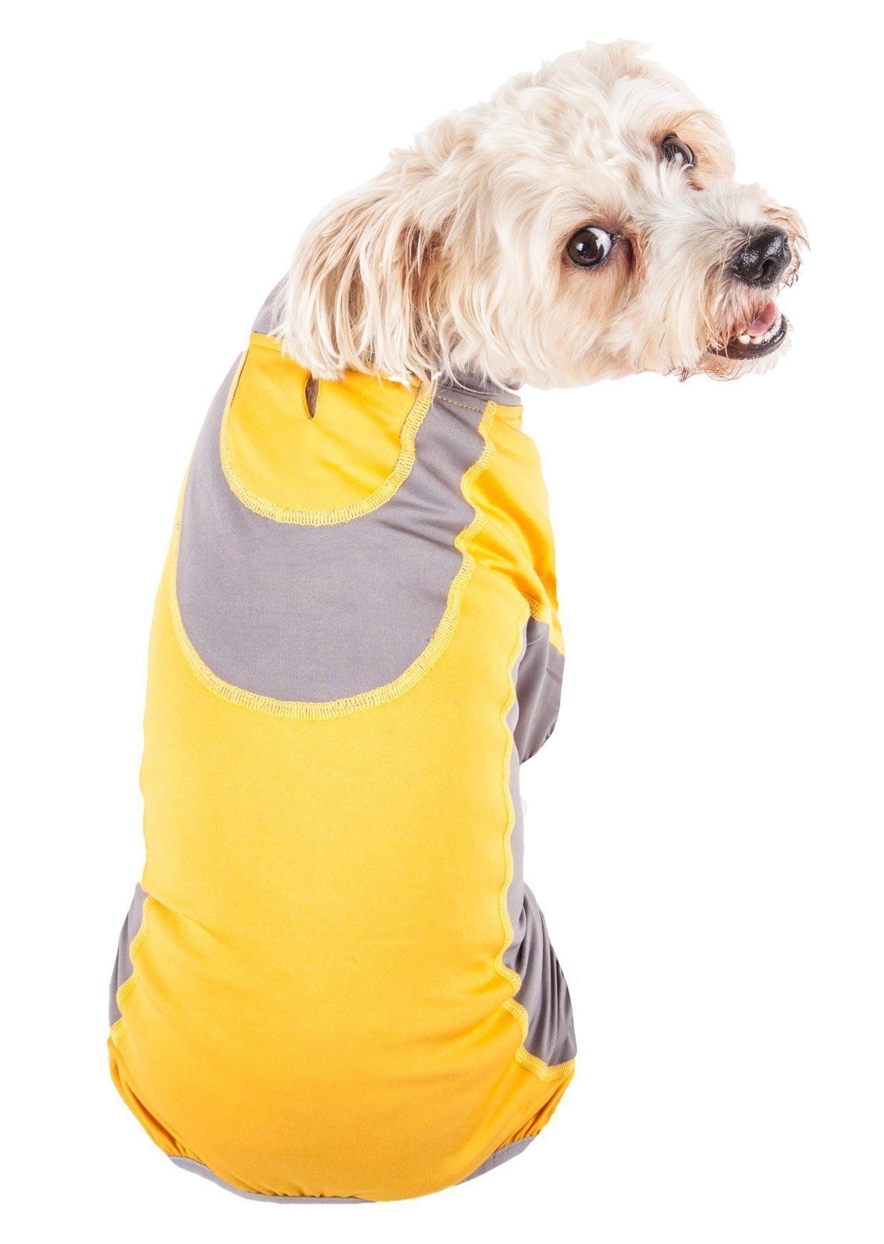 Dog wearing a yellow and gray hoodie on a white background