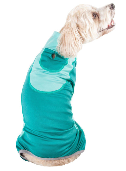 Dog wearing a teal sweater on a white background
