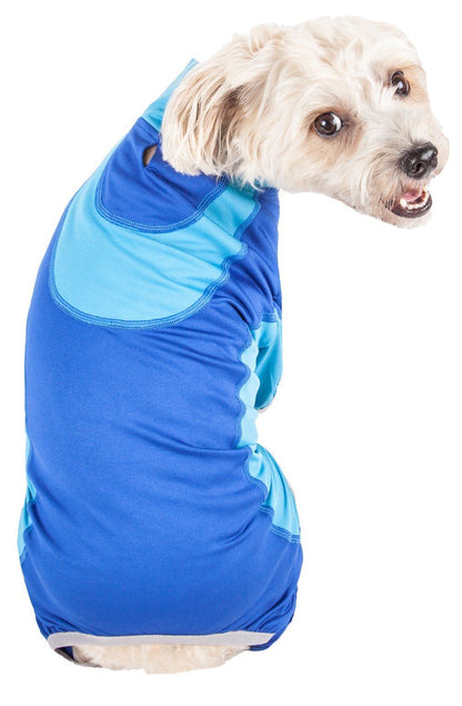 Dog wearing a blue and light blue jacket on a white background