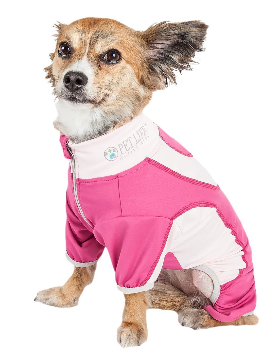 Small dog wearing a pink and white outfit with a brand logo on a white background